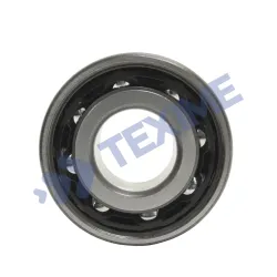 Double Row Angular Contact Ball Bearing 3209BTVH
